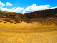 Moray complex